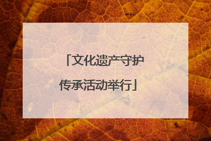 文化遗产守护传承活动举行