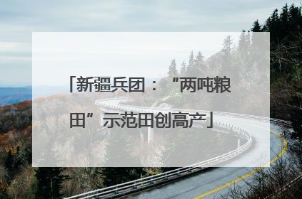 新疆兵团：“两吨粮田”示范田创高产