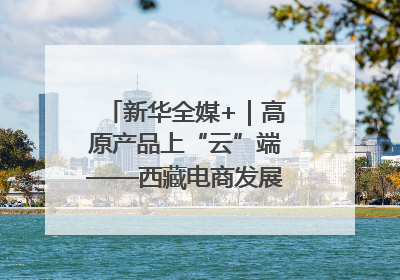 新华全媒+｜高原产品上“云”端——西藏电商发展一线观察