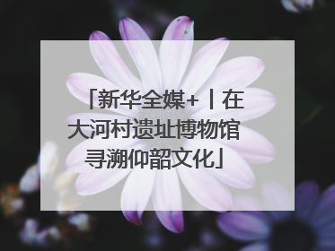 新华全媒+丨在大河村遗址博物馆寻溯仰韶文化