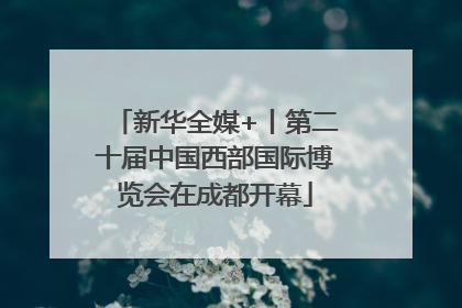 新华全媒+丨第二十届中国西部国际博览会在成都开幕