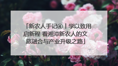 新农人手记④丨学以致用启新程 看湘潭新农人的文旅融合与产业升级之路
