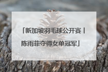 新加坡羽毛球公开赛丨陈雨菲夺得女单冠军