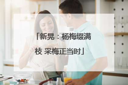 新晃：杨梅缀满枝 采梅正当时