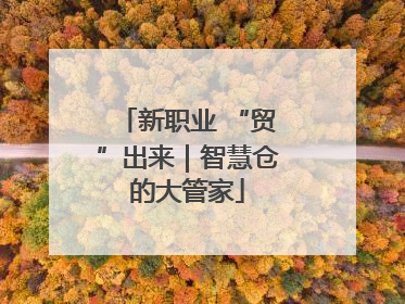 新职业 “贸”出来｜智慧仓的大管家