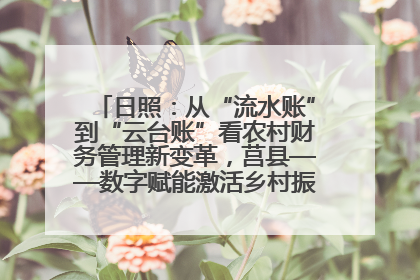 日照：从“流水账”到“云台账”看农村财务管理新变革，莒县——数字赋能激活乡村振兴“一池春水”