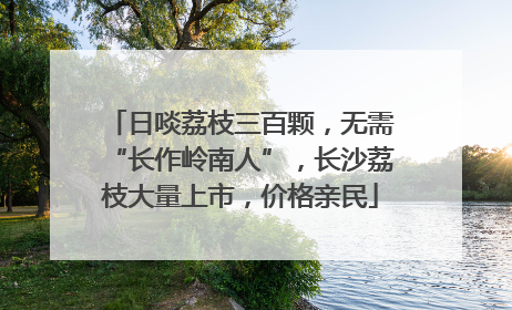 日啖荔枝三百颗，无需“长作岭南人”，长沙荔枝大量上市，价格亲民