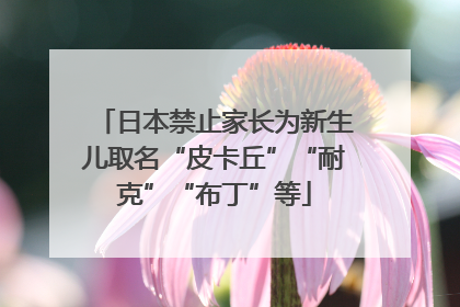日本禁止家长为新生儿取名“皮卡丘”“耐克”“布丁”等