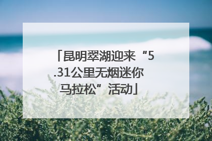 昆明翠湖迎来“5.31公里无烟迷你马拉松”活动