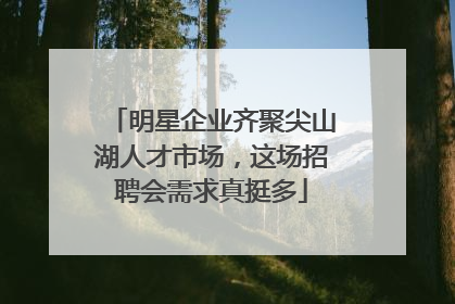 明星企业齐聚尖山湖人才市场，这场招聘会需求真挺多