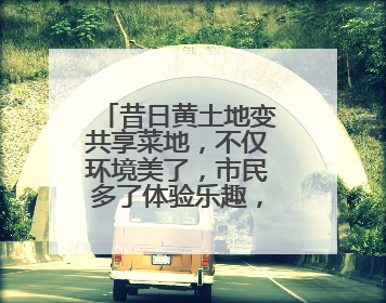 昔日黄土地变共享菜地，不仅环境美了，市民多了体验乐趣，村民还能增收