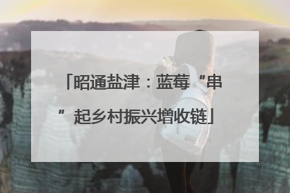昭通盐津：蓝莓“串”起乡村振兴增收链