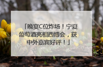 晚宴C位炸场！宁夏葡萄酒亮相西博会，获中外嘉宾好评！