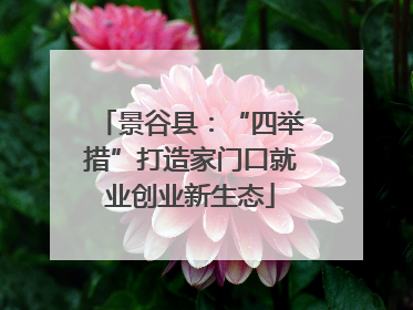景谷县：“四举措”打造家门口就业创业新生态