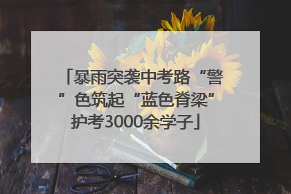 暴雨突袭中考路“警”色筑起“蓝色脊梁”护考3000余学子