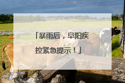 暴雨后，阜阳疾控紧急提示！