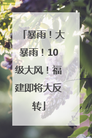 暴雨！大暴雨！10级大风！福建即将大反转