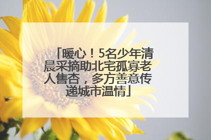 暖心！5名少年清晨采摘助北宅孤寡老人售杏，多方善意传递城市温情
