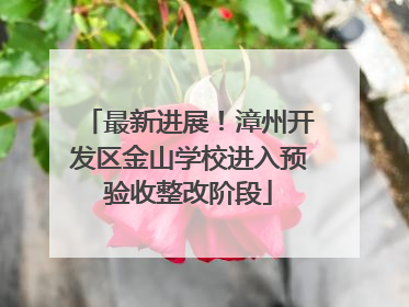 最新进展！漳州开发区金山学校进入预验收整改阶段