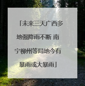 未来三天广西多地强降雨不断 南宁柳州等局地今有暴雨或大暴雨
