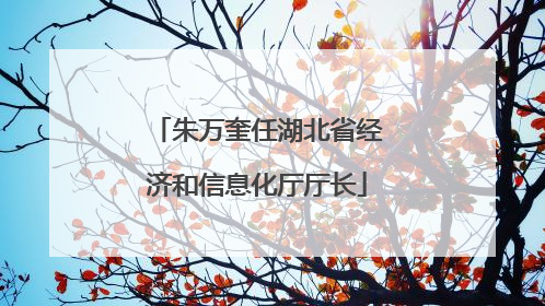 朱万奎任湖北省经济和信息化厅厅长