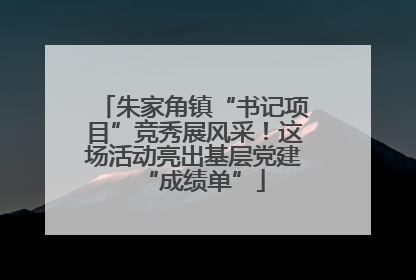 朱家角镇“书记项目”竞秀展风采！这场活动亮出基层党建“成绩单”