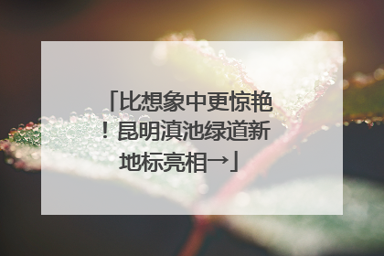 比想象中更惊艳！昆明滇池绿道新地标亮相→