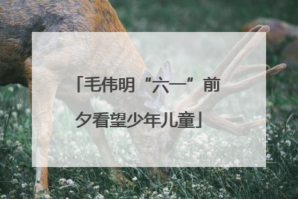 毛伟明“六一”前夕看望少年儿童