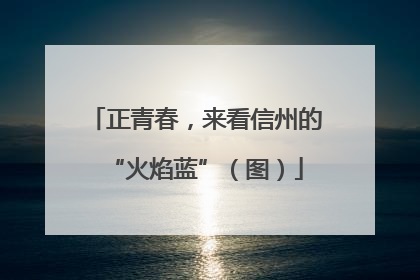 正青春，来看信州的“火焰蓝”（图）
