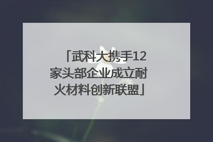 武科大携手12家头部企业成立耐火材料创新联盟