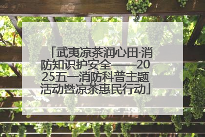 武夷凉茶润心田·消防知识护安全——2025五一消防科普主题活动暨凉茶惠民行动