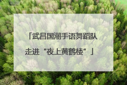 武昌国潮手语舞蹈队走进“夜上黄鹤楼”