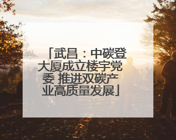 武昌：中碳登大厦成立楼宇党委 推进双碳产业高质量发展