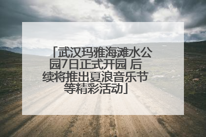 武汉玛雅海滩水公园7日正式开园 后续将推出夏浪音乐节等精彩活动