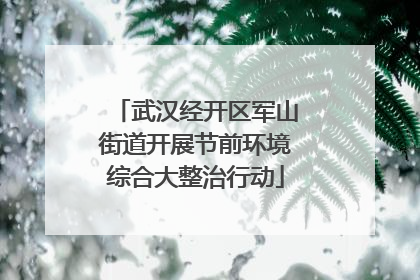 武汉经开区军山街道开展节前环境综合大整治行动