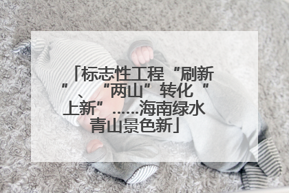 标志性工程“刷新”、“两山”转化“上新”……海南绿水青山景色新