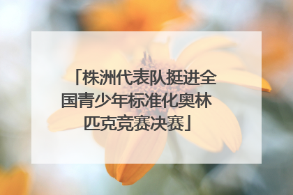 株洲代表队挺进全国青少年标准化奥林匹克竞赛决赛