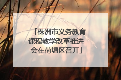 株洲市义务教育课程教学改革推进会在荷塘区召开