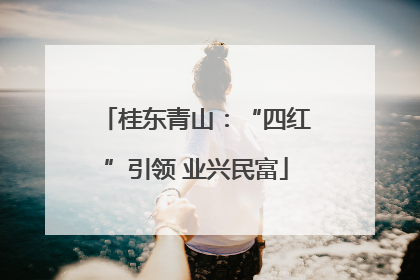 桂东青山：“四红”引领 业兴民富