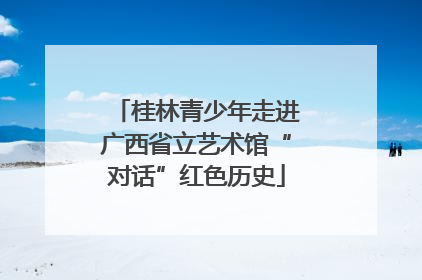 桂林青少年走进广西省立艺术馆“对话”红色历史