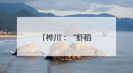桦川：“虾稻轮作”铺开乡村振兴新画卷