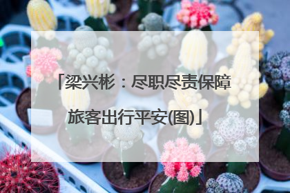 梁兴彬：尽职尽责保障旅客出行平安(图)