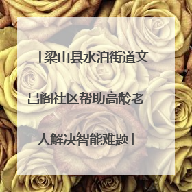 梁山县水泊街道文昌阁社区帮助高龄老人解决智能难题