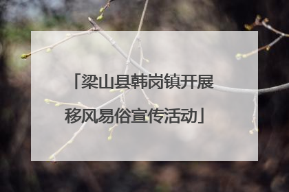 梁山县韩岗镇开展移风易俗宣传活动