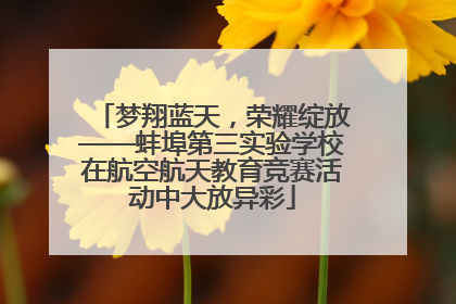 梦翔蓝天，荣耀绽放——蚌埠第三实验学校在航空航天教育竞赛活动中大放异彩
