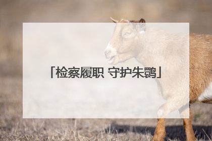 检察履职 守护朱鹮