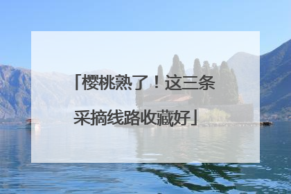 樱桃熟了！这三条采摘线路收藏好