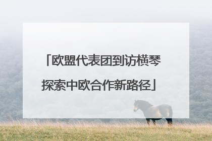 欧盟代表团到访横琴 探索中欧合作新路径