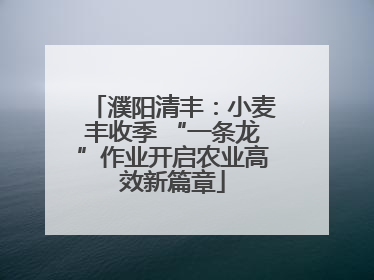 濮阳清丰：小麦丰收季 “一条龙”作业开启农业高效新篇章