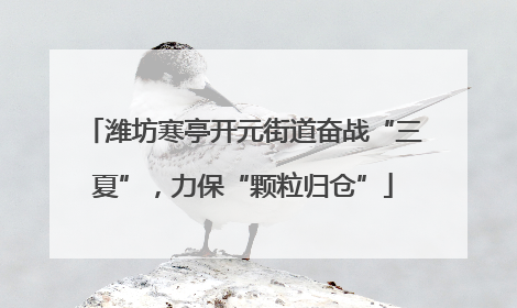 潍坊寒亭开元街道奋战“三夏”，力保“颗粒归仓”